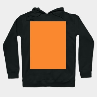 Sunshine Orange Hoodie